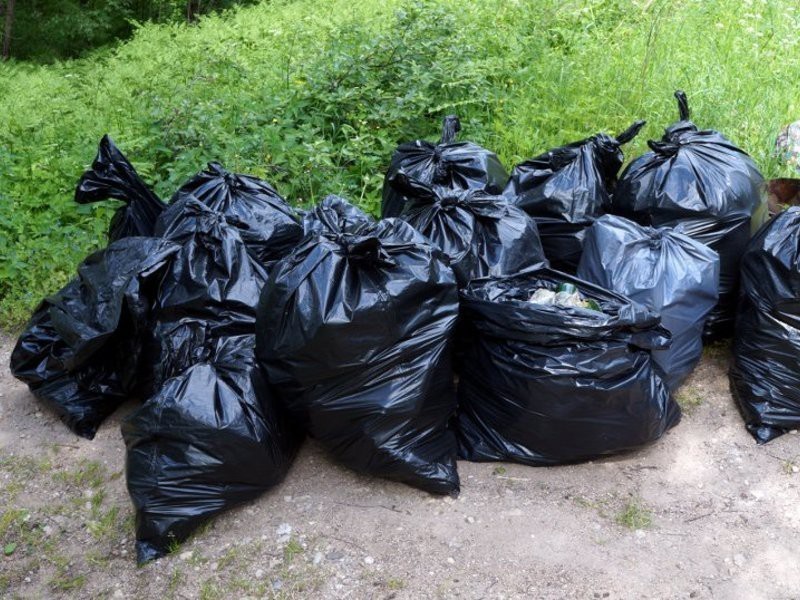 В Архангельске за мусор из Сабетты на 180 тысяч оштрафовали Спецавтохозяйство