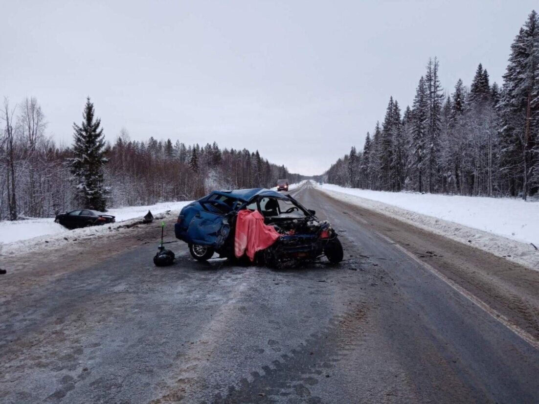 В Архангельской области на автодороге М-8 погибли два пассажира