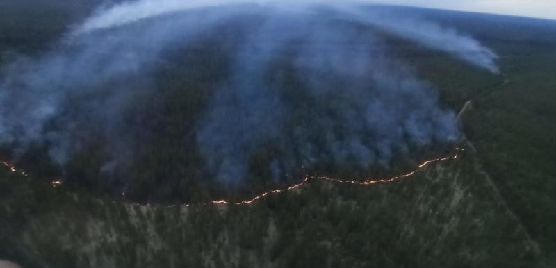 В Лешуконском районе возник первый крупный лесной пожар