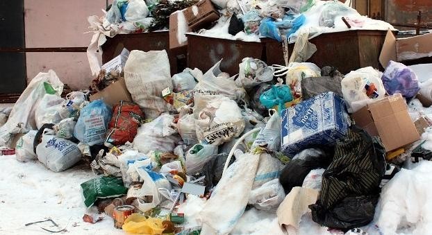С должниками за вывоз мусора в Архангельской области начали судиться
