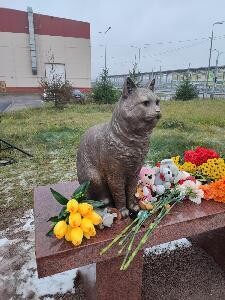В Санкт-Петербурге открыли памятник северодвинскому коту Кузе