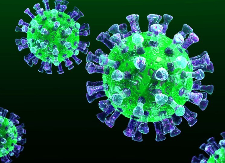 Число заразившихся коронавирусом в Архангельской области не достигло ста человек за сутки