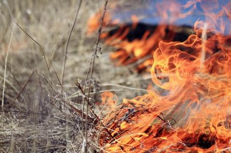 С 1 мая в Архангельской области начнется пожароопасный сезон
