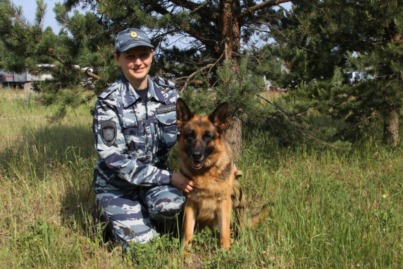 В Архангельске полицейская овчарка Цукини задержала грабителя