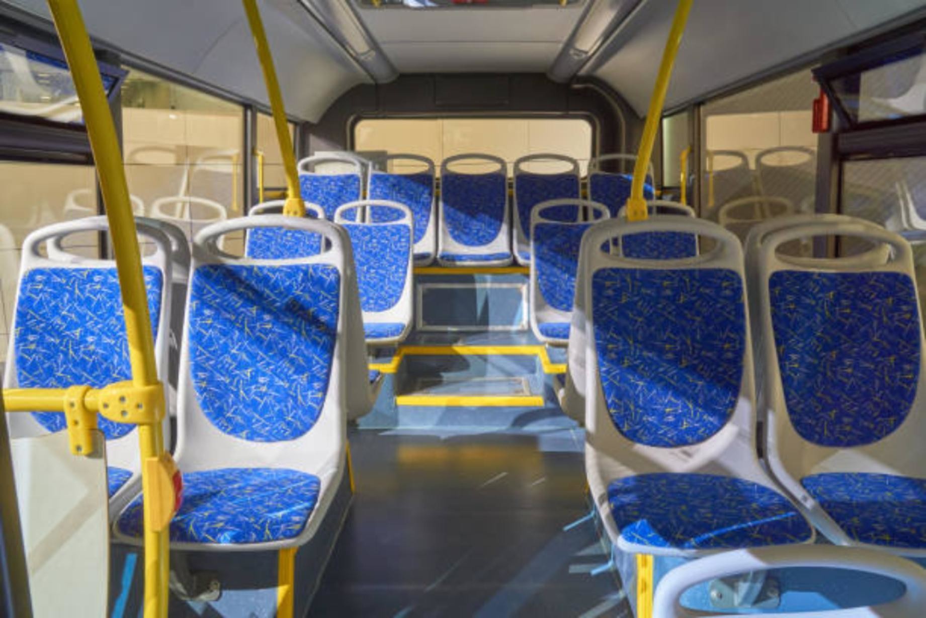 В столице Поморья планируют провести реформу общественного транспорта