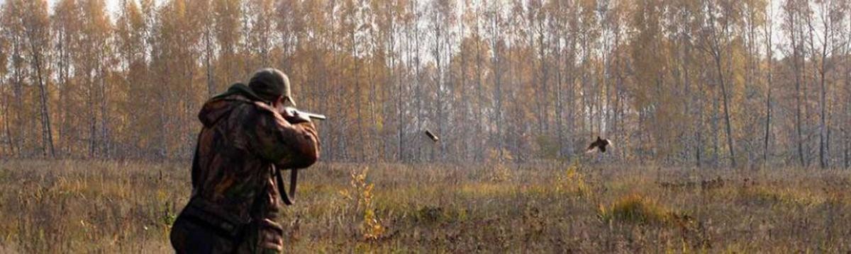 В Архангельской области в самом разгаре сезон охоты на пернатую дичь