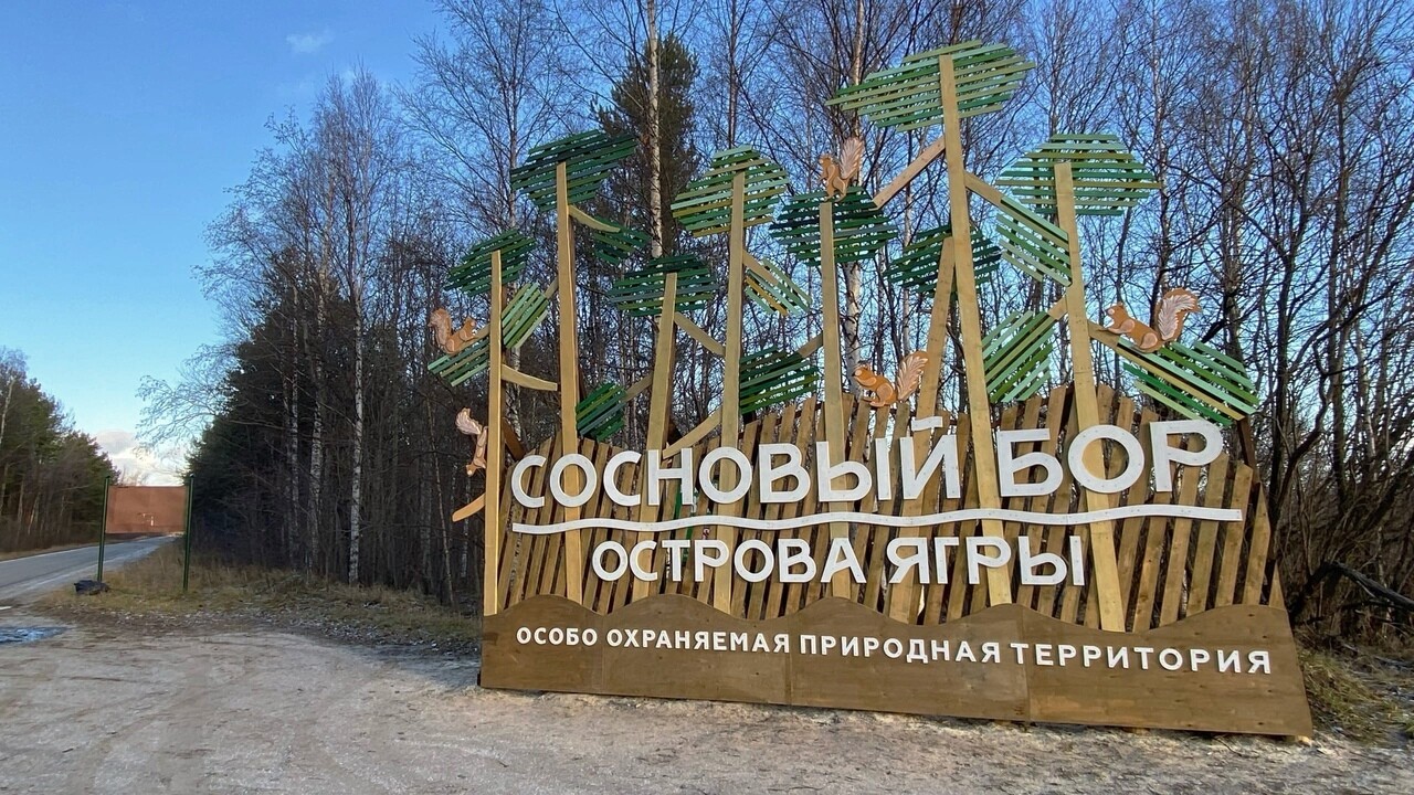 В Северодвинске на опушке Ягринского бора установили новый арт-объект