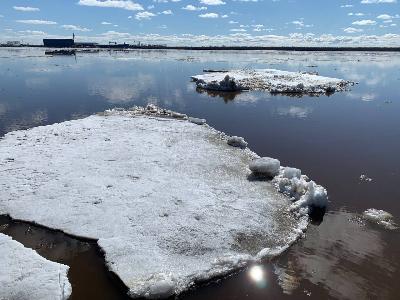 Голова ледохода на Северной Двине находится в 435 км от Архангельска