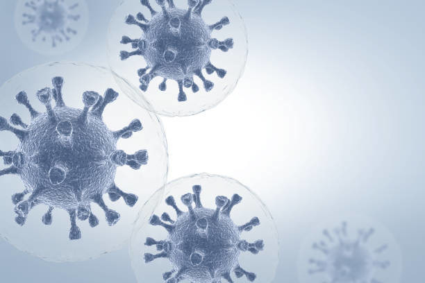 В Поморье ещё 325 человек заболели коронавирусом 