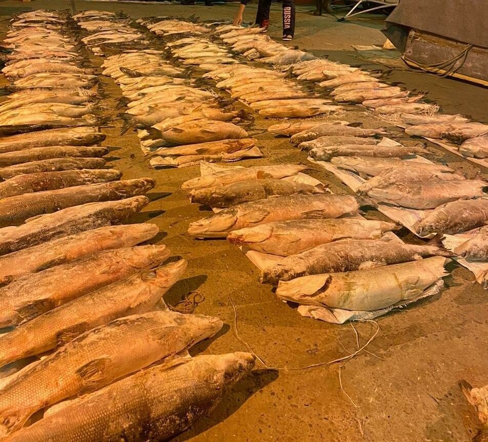 Штраф жителю НАО, незаконно выловившему несколько тонн рыбы, оставили в силе