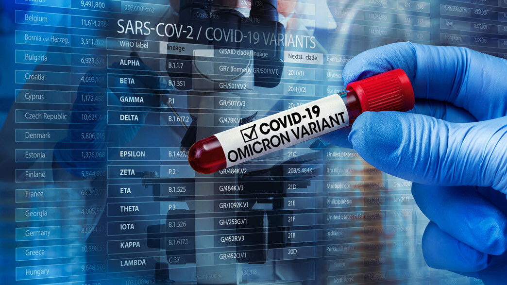 Девять случаев заражения штаммом омикрон зарегистрированы в Поморье