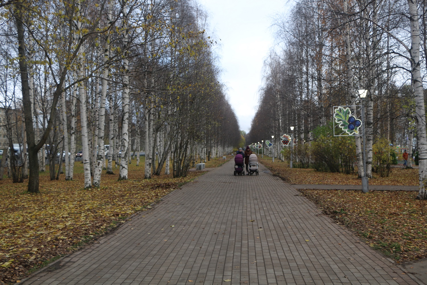 Парки в архангельске