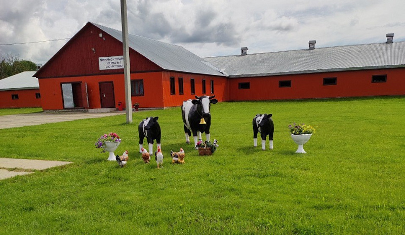 В Устьянском округе к концу года появится новый животноводческий комплекс