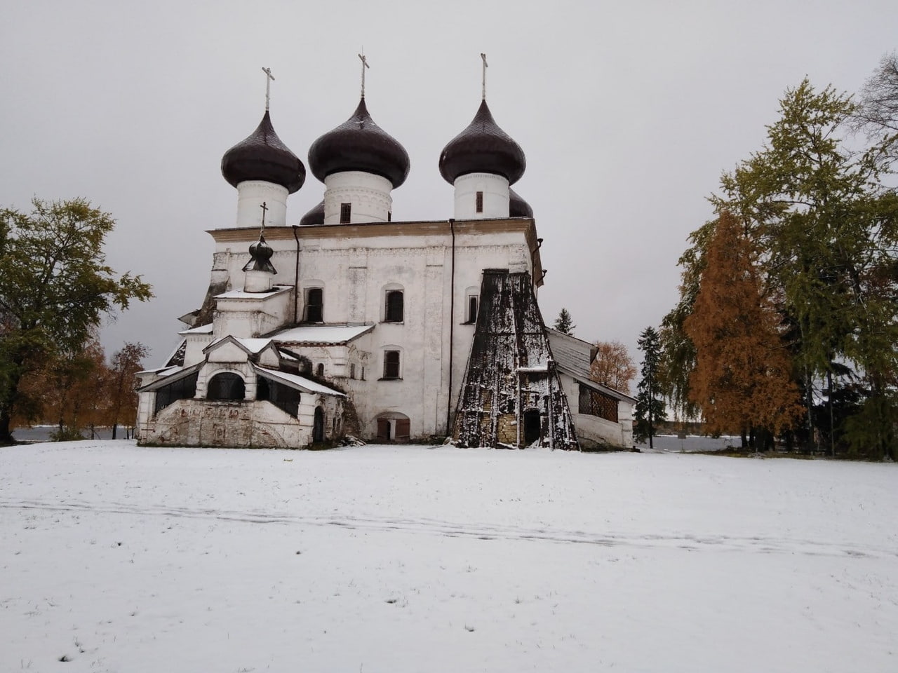 Прогноз каргополь архангельская область. Архангельская область Каргополь Атконов. Климат Каргополя. Псков Каргополь. Символ района Архангельской области Каргополь.