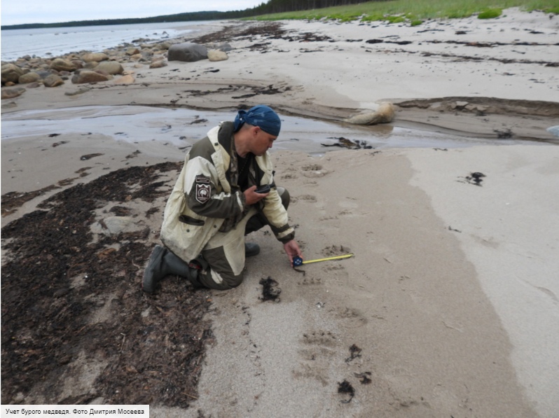 Ученые провели исследования побережья Белого моря в нацпарке «Онежское Поморье»