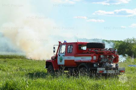 До 11 августа в лесах Архангельской области установлен особый противопожарный режим