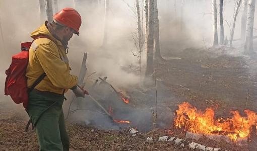 С 1 мая в Архангельской области зафиксировано 37 лесных пожаров