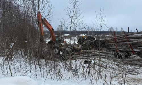В Вилегодском округе погиб водитель лесовоза