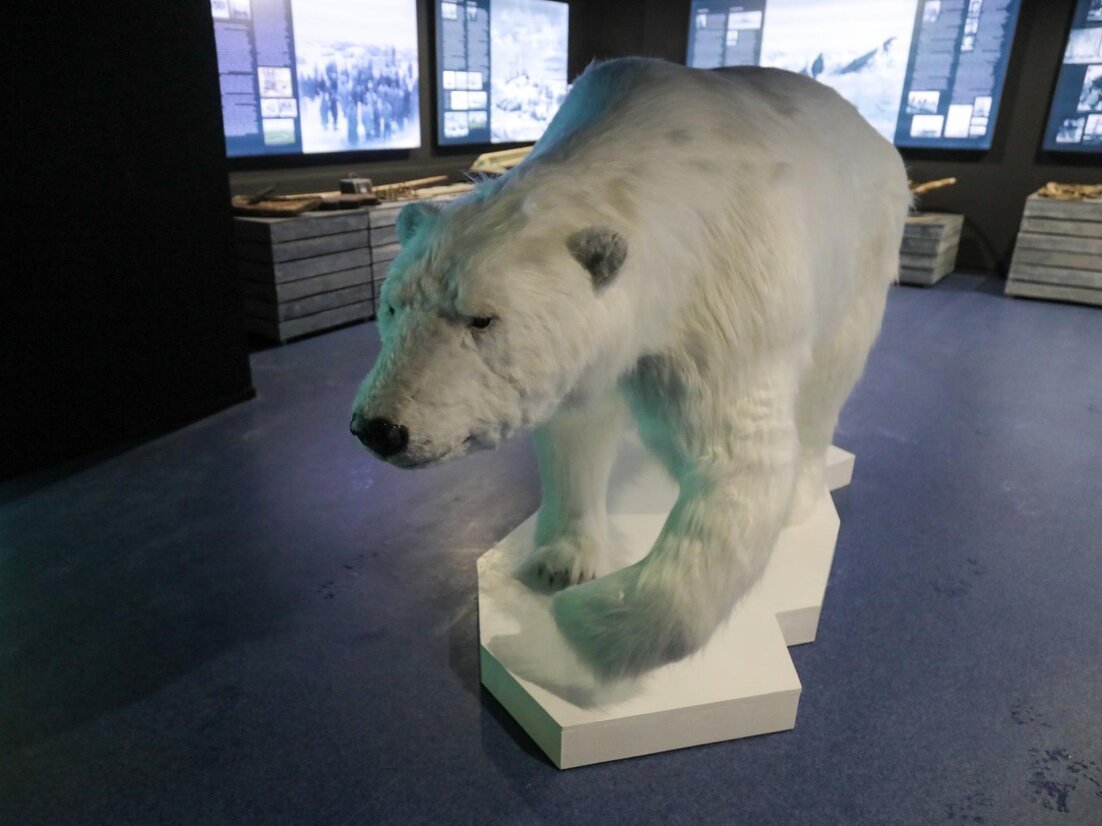 В Архангельске открылась музейная площадка «Арктического посольства» 