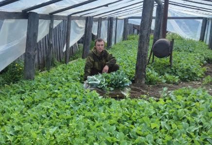 Фермер из Шенкурского округа стал победителем гранта на реализацию агростартапа